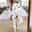 Women's Loungewear Sweatsuit Sets 2 Pieces Letter Sport Comfort Home Street Vacation Off Shoulder Long Sleeve Pullover Pant Spring Fall