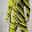 Men's Graphic Geometric 2pcs Hoodies Long Sleeve Long pants 3D Sweatshirt Sets Hooded Streetwear Sportswear Basic Sports & Outdoor Casual Sports Print Yellow Light Green Pink