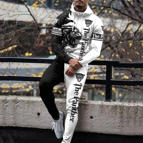 Men's Graphic Animal 2pcs Hoodies Long Sleeve Long pants 3D Sweatshirt Sets Hooded Streetwear Designer Basic Sports & Outdoor Casual Sports Zipper White Yellow Blue