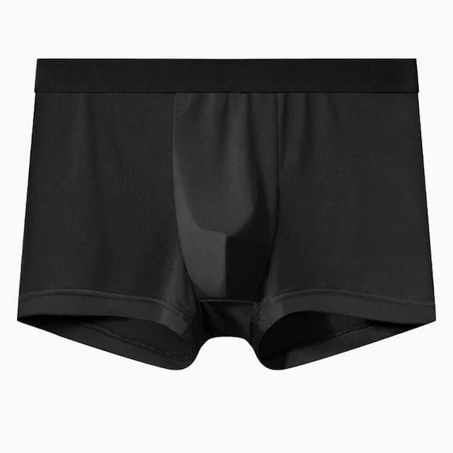 Men's 6 Pack Underwear Basic Panties Boxers Underwear Briefs Ice Silk Breathable Soft Pure Color Mid Waist Black Navy Blue